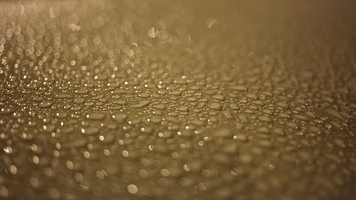 shadow depth of field photography of water droplets, bokeh, rain