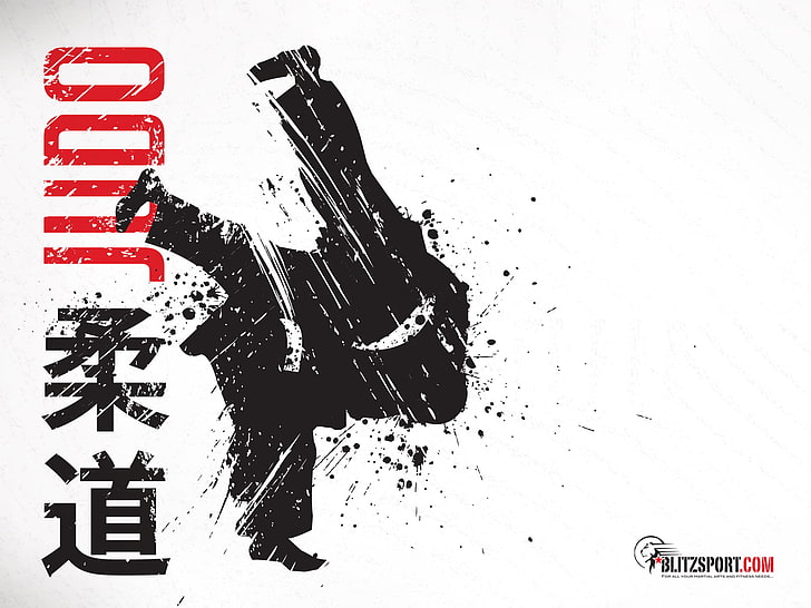 Judo logo vector art, flight, people, belt, kimono, throw, illustration, HD wallpaper