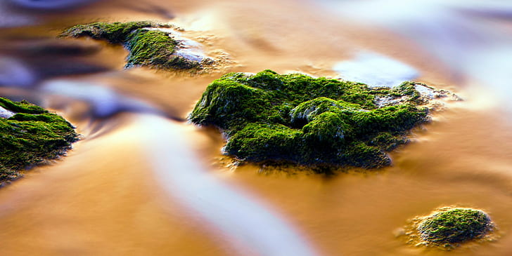 nature, photography, Chrome Cast, moss, rock, water, HD wallpaper