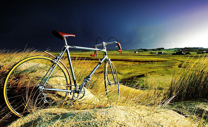 Vintage Bicycle in the Storm, grey road bike, Sports, Biking