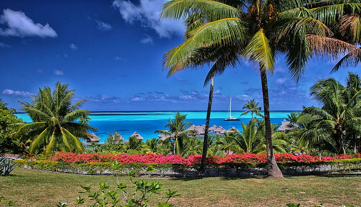 Beautiful Bora Bora, tropical, islands, lagoon, flowers, tahiti, HD wallpaper