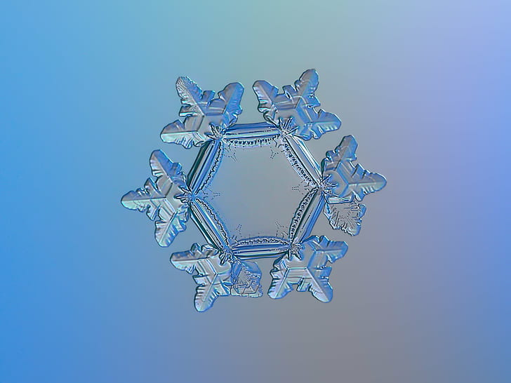 selective focus photography of snow flake, Snowflake, macro, sunflower