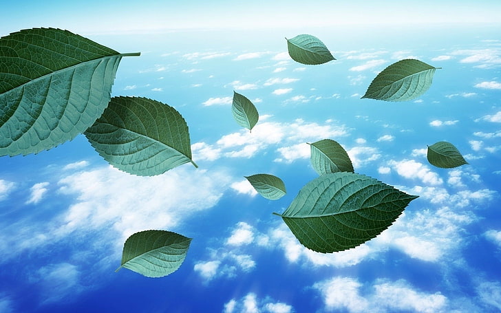 leaves, floating, sky, clouds, digital art, photo manipulation