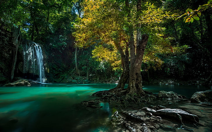 green leafed tree, nature, landscape, waterfall, Thailand, trees, HD wallpaper