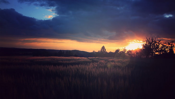 green grass field, night, sunset, overcast, lens flare, nature, HD wallpaper