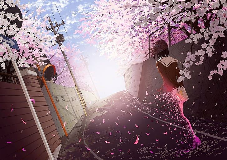 Mobile wallpaper Anime River Cherry Blossom Original 902961 download  the picture for free