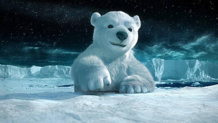 polar bear, ice, snow, arctic, animal, mammal, cute, winter, cold - Temperature