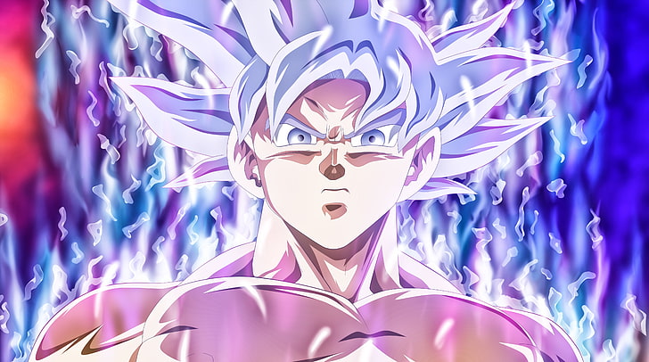 Goku Mastered Ultra Instinct, Dragon Ball Super Complete Ultra Instinct Son Goku, HD wallpaper