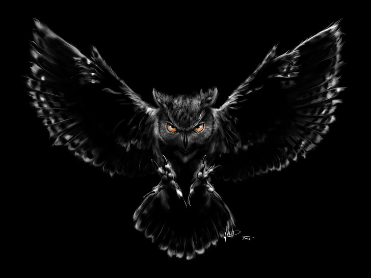 Nightmare, owl, bufnita, fantasy, bird, pasare, black, HD wallpaper