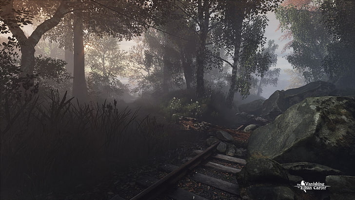 video games, The Vanishing of Ethan Carter, tree, plant, forest, HD wallpaper