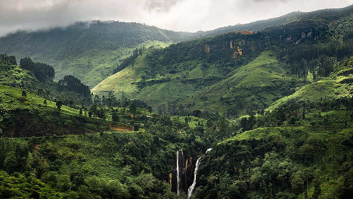 green mountain, greens, landscape, tropics, Sri Lanka, tree, environment, HD wallpaper