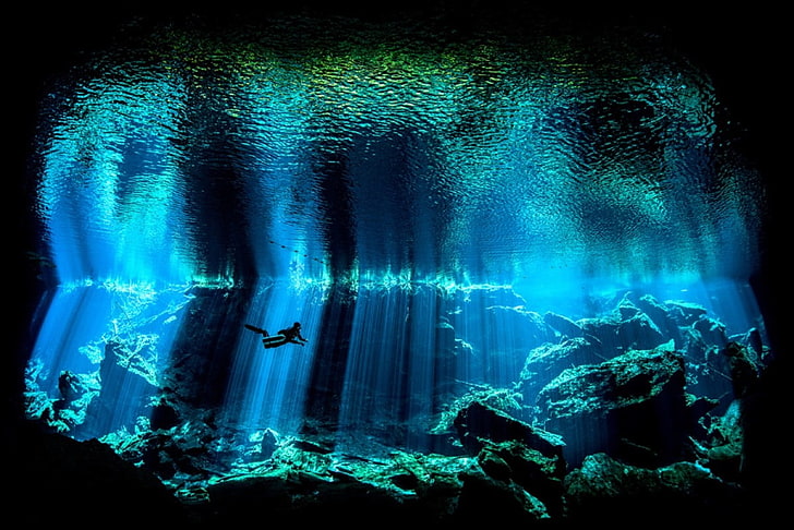 under water digital wallpaper, nature, sea, underwater, coral, HD wallpaper