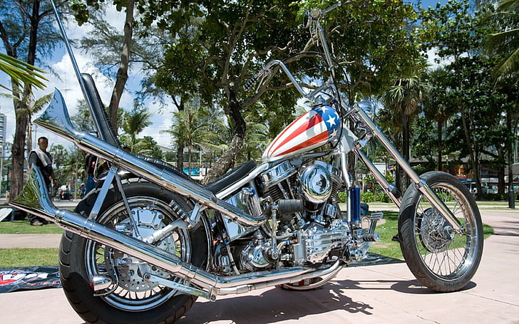 silver chopper motorcycle, Harley Davidson, Easy Rider, tree, HD wallpaper