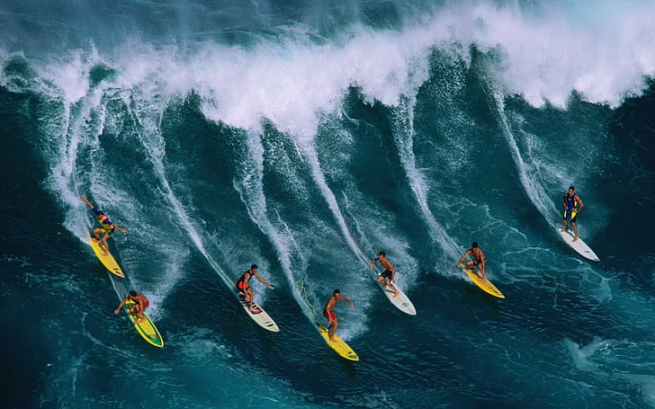 Guys Surfing, 7 assorted surf boards, ocean, wave, sharks
