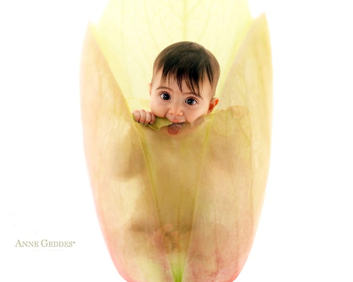 Cute Baby Anne Geddes 1080P, 2K, 4K, 5K HD wallpapers free download |  Wallpaper Flare