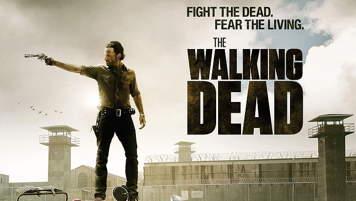 Prison Rick Grimes Full Size 24x36 ~ Andrew Lincoln THE WALKING DEAD Poster 