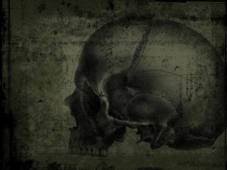 gray skull artwork, indoors, textured effect, no people, weathered, HD wallpaper