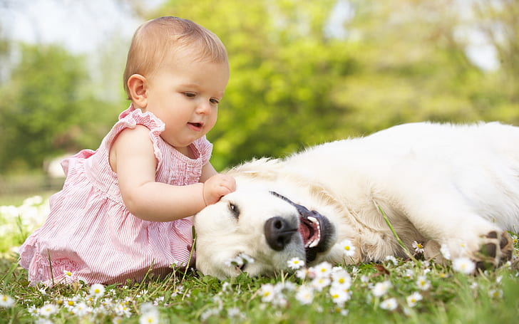 Little beautiful girl with dog, HD wallpaper