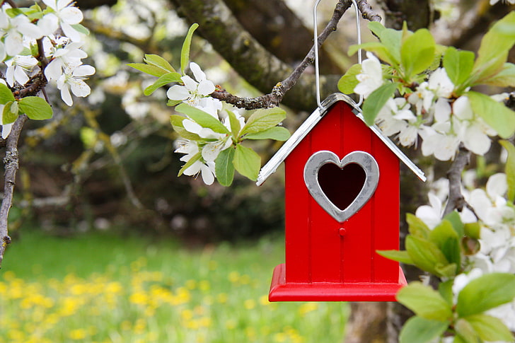 red and gray wooden birdhouse decor and white cherry blossoms