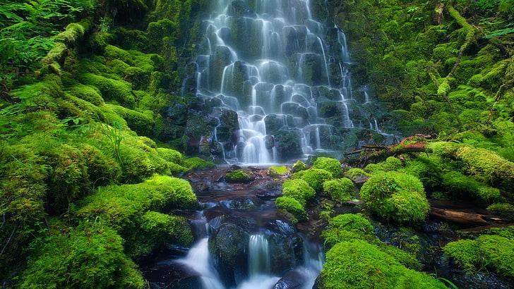 Cascade Waterfall Sensoria Rain Forest Costa Rica Mexico Rocks Green Moss Hd Desktop Wallpaper 3840×2160