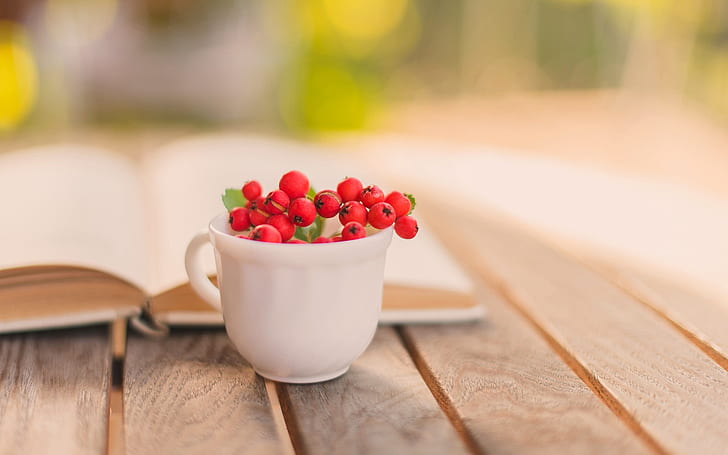 Still life, book, cup, red berry, HD wallpaper