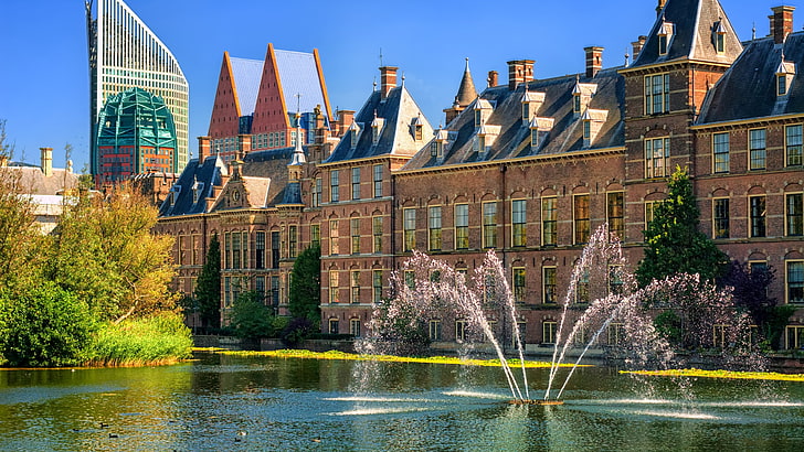 water, binnenhof, dutch parliament, binnenhof palace, landmark, HD wallpaper