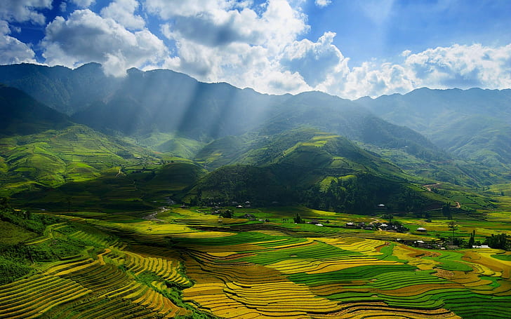 sunlight, landscape, Vietnam, Rice Terrace, mountains, HD wallpaper