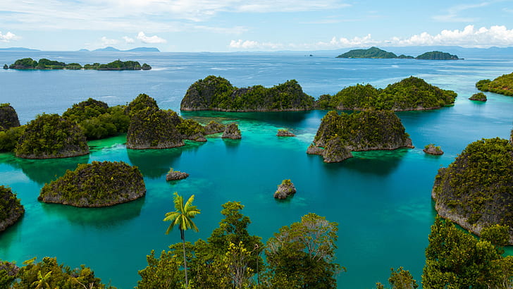 Scuba Diving In Raja Ampat Indonesia Tropics Islands Is Some Of The Best On The Planet Hd Wallpaper 1920×1080