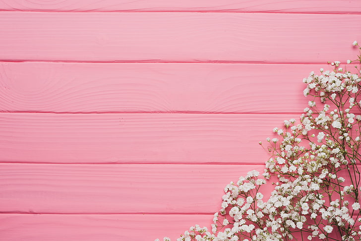 7000 Beautiful Pink Backgrounds for Free HD  Pixabay