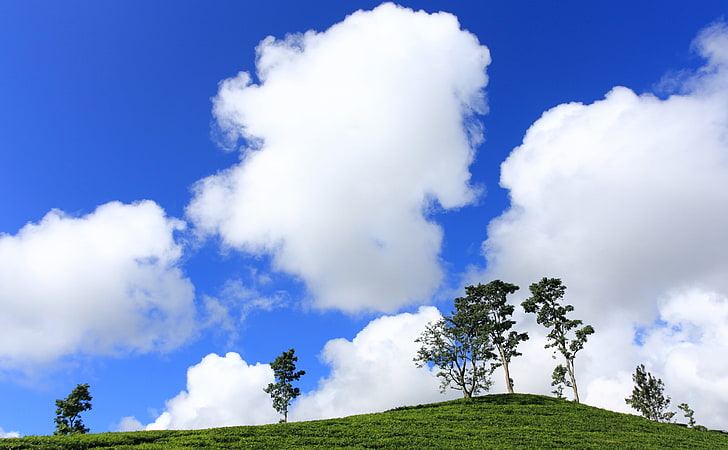 Cotton Clouds, Nature, Sun and Sky, White, Indonesia, Puffy, bluesky, HD wallpaper