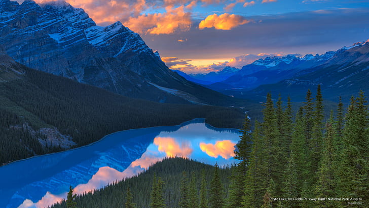 Peyto Lake, Ice Fields Parkway, Banff National Park, Alberta, HD wallpaper