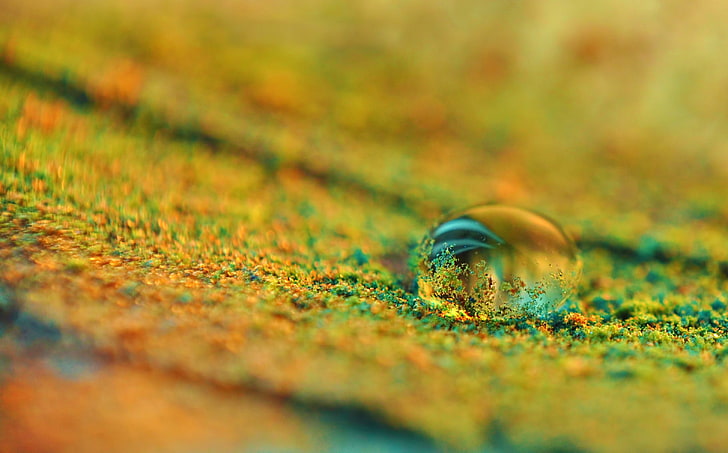 blue and yellow sand, macro, selective focus, nature, no people, HD wallpaper