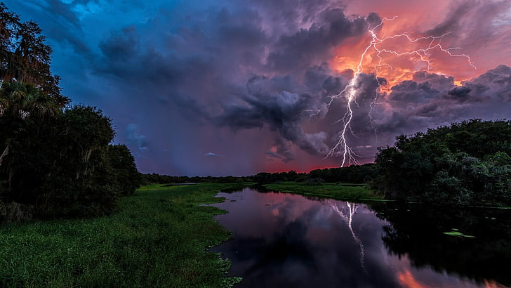 sky, nature, lightning, atmosphere, cloud, thunderstorm, tree, HD wallpaper