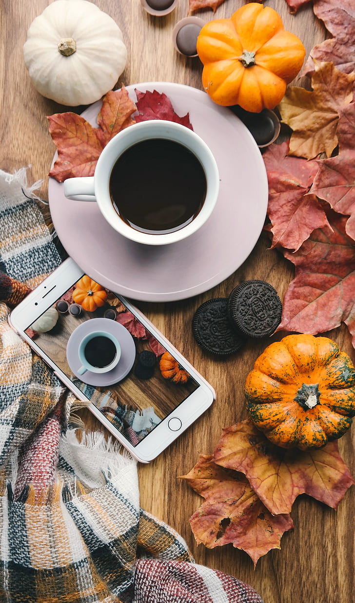 HD wallpaper: coffee, pumpkin, leaves, phone | Wallpaper Flare