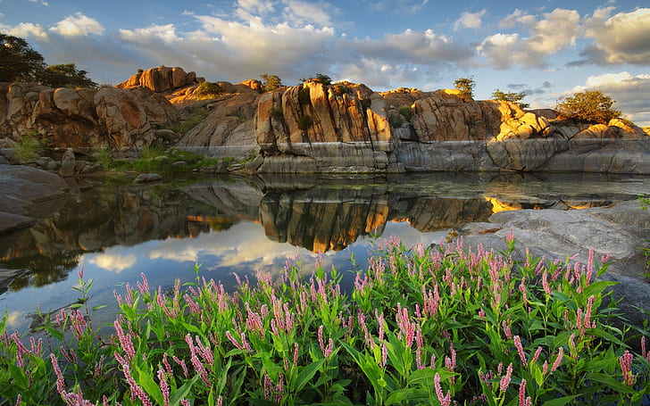 Arizona, Prescott, Watson lake, USA, lake, flowers, stones, HD wallpaper
