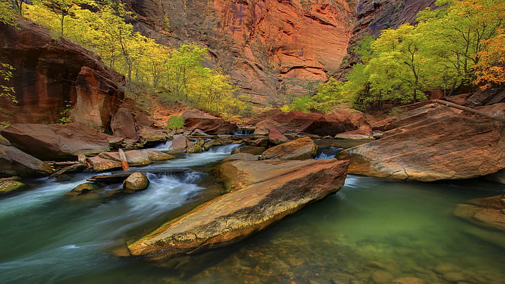 Canyon Stream In Zion National Park, trees, rocks, nature and landscapes