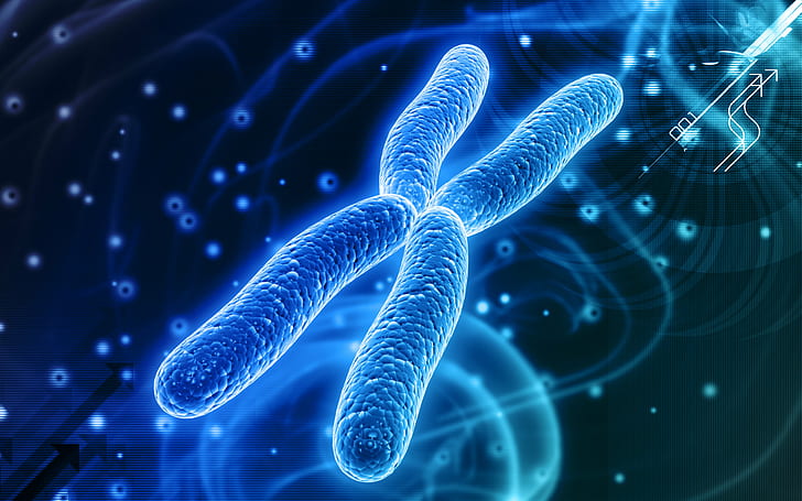 3600x2250 px, chromosome, d, DNA, Genetic, pattern, psychedelic, HD wallpaper
