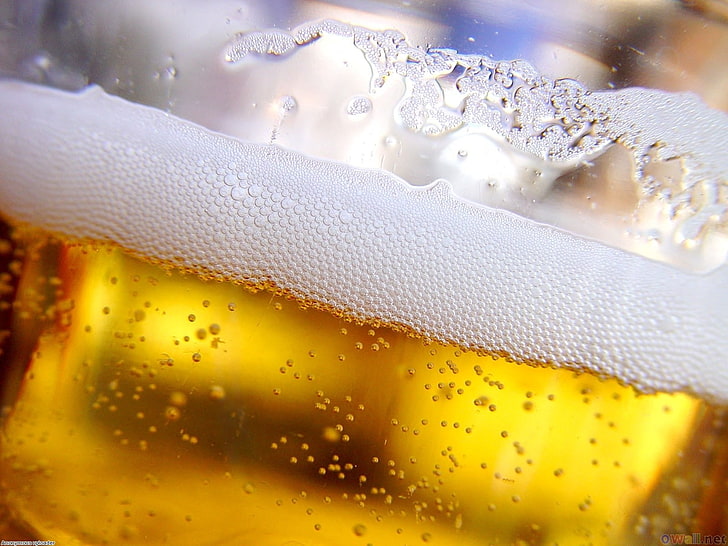 beer, drink, close-up, refreshment, bubble, indoors, frothy drink, HD wallpaper