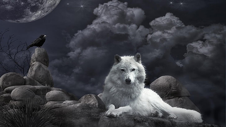 fantasy art, wolf, raven, moon, clouds, night sky, stars, animal wildlife