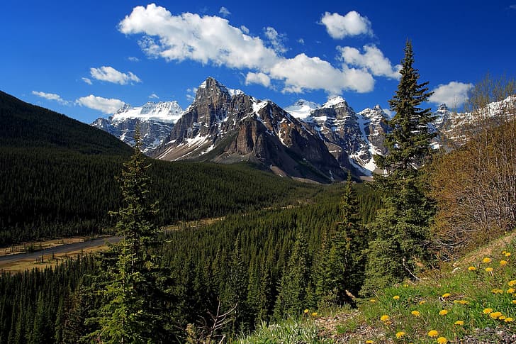 forest, mountains, stream, ate, Canada, Albert, Banff National Park, HD wallpaper