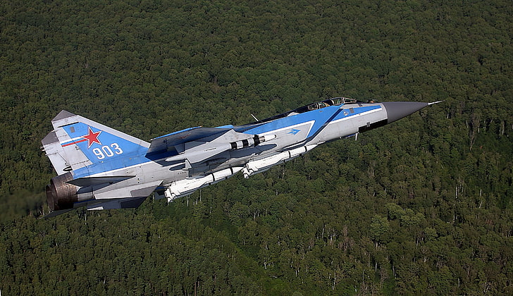 grey and blue aircraft, Mikoyan MiG-31, forest, military aircraft, HD wallpaper