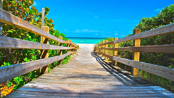 miami, walkway, beach, sky, boardwalk, tree, plant, usa, leisure, HD wallpaper