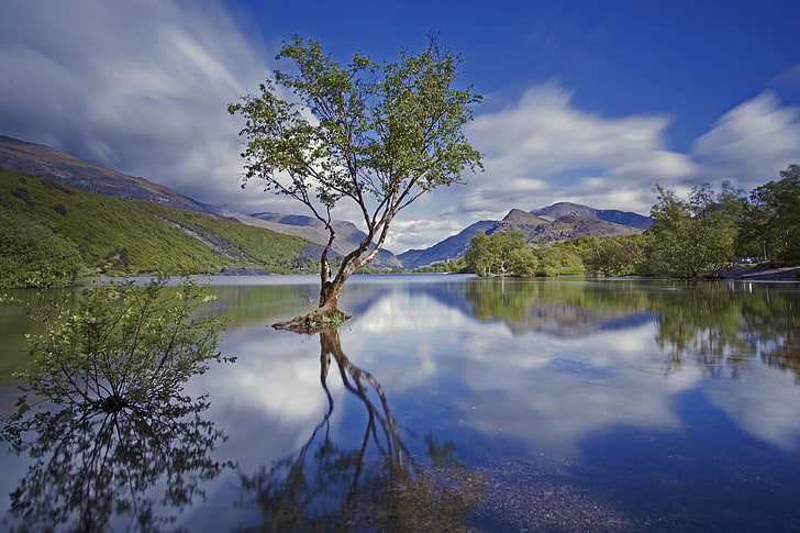 mountains, lake, tree, England, national Park, Snowdonia, North Wales, HD wallpaper