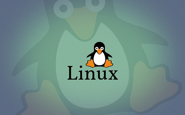 Linux, Tux, open source, penguins, logo, one person, text, communication, HD wallpaper