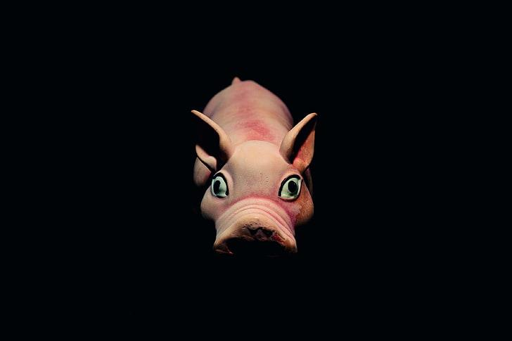 animal, dark, gummy, hog, pig, pork, purple, rubber, swine, HD wallpaper