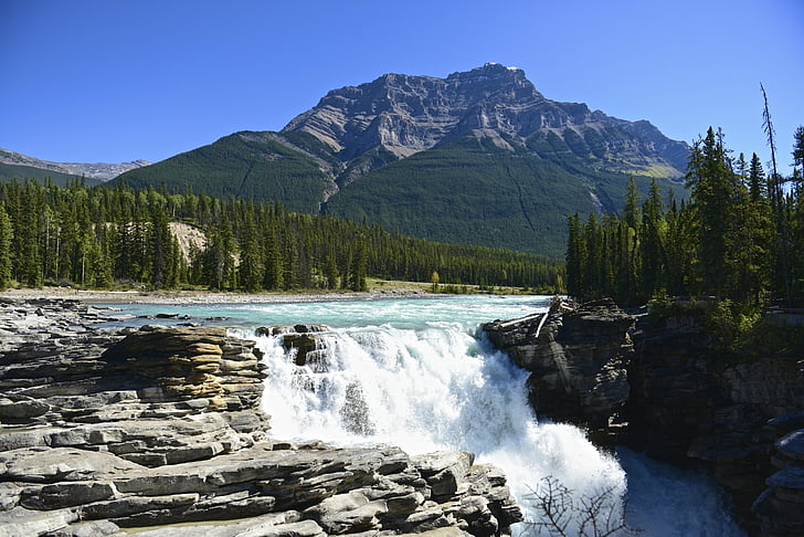 Waterfalls, Athabasca Falls, Canada, Forest, Jasper National Park
