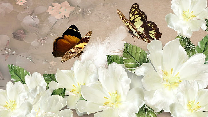 Lovely White Flowers, soft, fleurs, beautiful, spring, pretty, HD wallpaper
