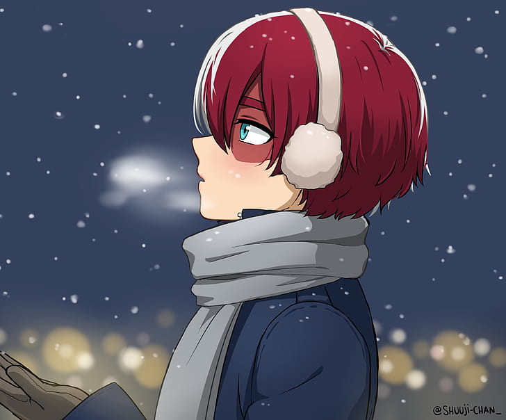 610+ Shoto Todoroki HD Wallpapers and Backgrounds