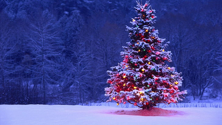 HD wallpaper: Christmas, snow, winter, holiday, christmas lights | Wallpaper  Flare