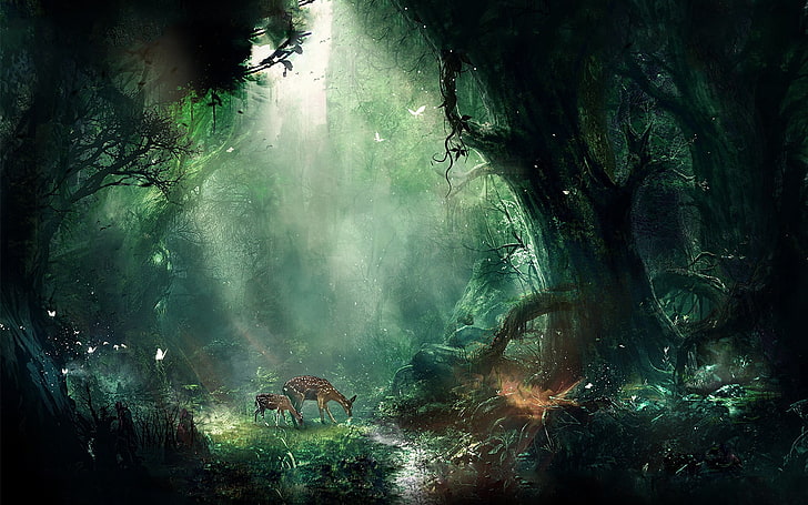 deer in the middle of forest, jungle, fantasy, butterflies, night, HD wallpaper